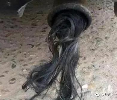 毛骨悚然!男子从汽车排气管内扯出大量"女性毛发"