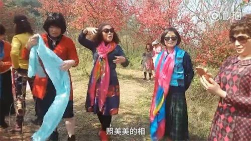 “阿姨们照相带7条丝巾”上热搜 网友笑晒自家妈