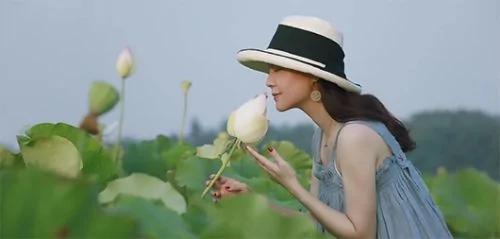 “阿姨们照相带7条丝巾”上热搜 网友笑晒自家妈