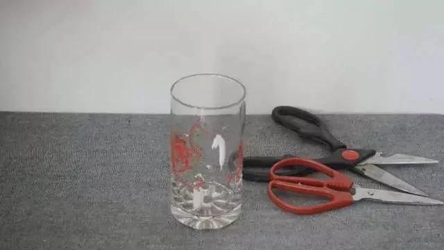 剪刀生锈变钝了怎么办?用它泡一泡 剪刀快速除锈变锋利