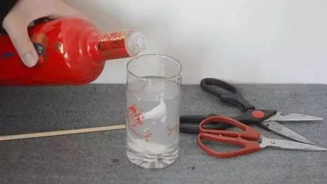 剪刀生锈变钝了怎么办?用它泡一泡 剪刀快速除锈变锋利