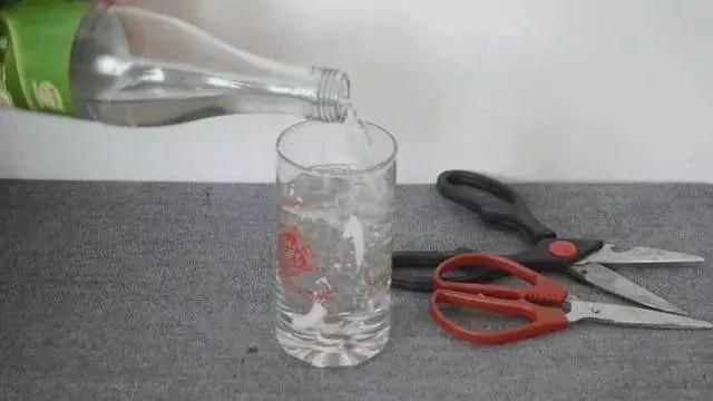 剪刀生锈变钝了怎么办?用它泡一泡 剪刀快速除锈变锋利