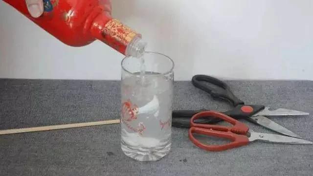 剪刀生锈变钝了怎么办?用它泡一泡 剪刀快速除锈变锋利