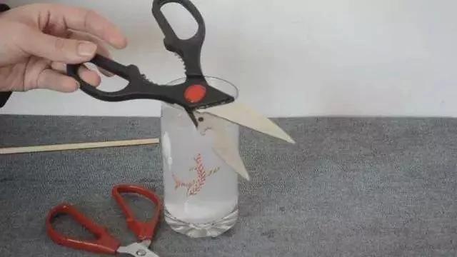 剪刀生锈变钝了怎么办?用它泡一泡 剪刀快速除锈变锋利