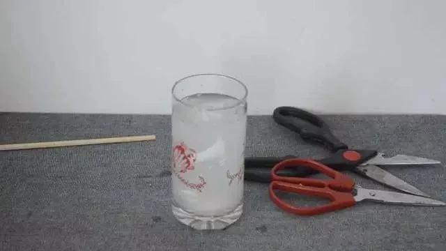 剪刀生锈变钝了怎么办?用它泡一泡 剪刀快速除锈变锋利