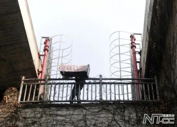 超暖心!小猫困高架桥两年 好心大爷徒手投食保住其性命!