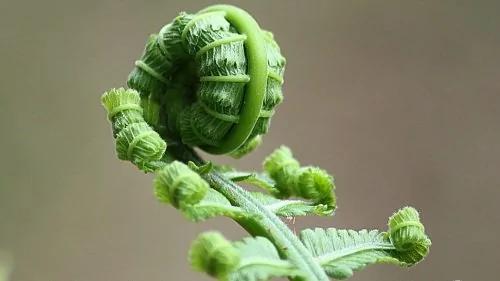 “春分”最大的特色是什么?大家来立蛋!