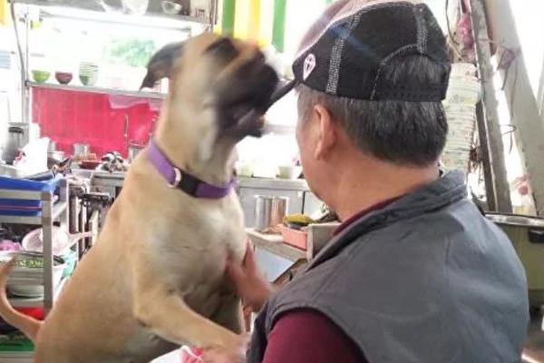 情深不渝 忠犬在主人头七“咬舌自尽” 天堂作伴!