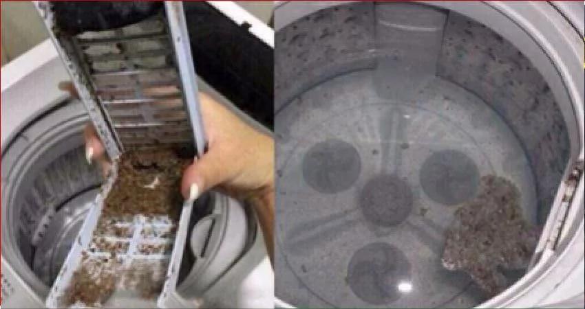洗衣机60天不洗 细菌比马桶还多!教你一个小方法 1年不用清洗都很干净