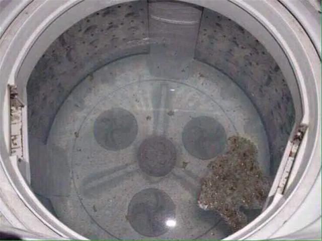 洗衣机60天不洗 细菌比马桶还多!教你一个小方法 1年不用清洗都很干净