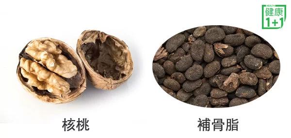 核桃最厉害的不是补脑!胡乃文讲核桃养生妙用
