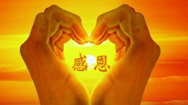不懂感恩的人比贪婪的狼更可怕!写的真好!看五遍都不够!
