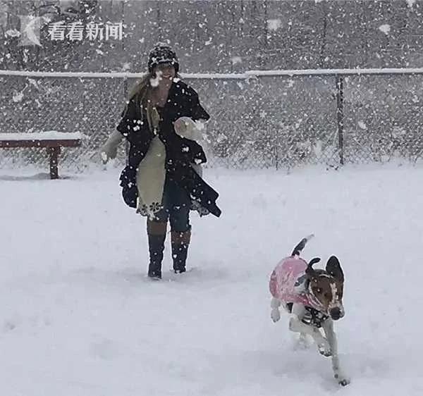 狗的报恩! 女子收养流浪狗 被闻出皮肤癌救回一命!