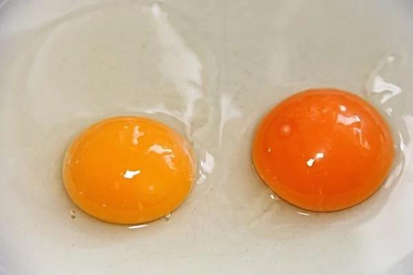 你想拥有亮丽的肌肤吗?高级营养师推荐的10种食物助你美梦成真
