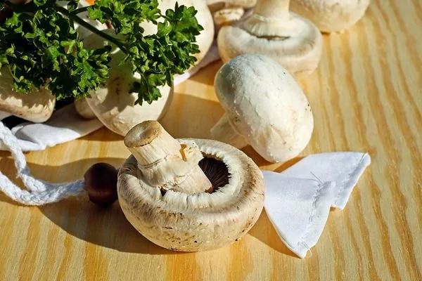 你想拥有亮丽的肌肤吗?高级营养师推荐的10种食物助你美梦成真