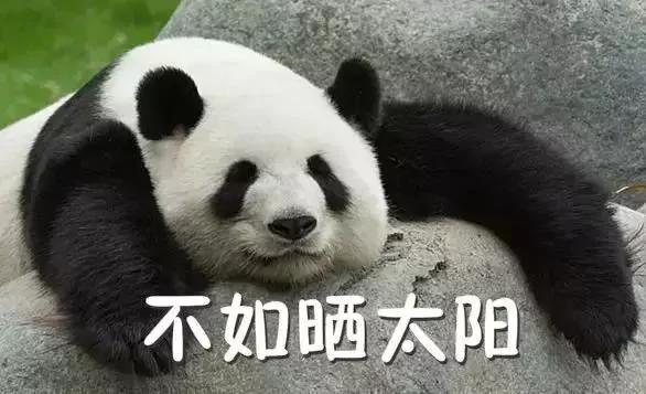10个正经玩笑 认真你就输了 看完以后整个人精神不少