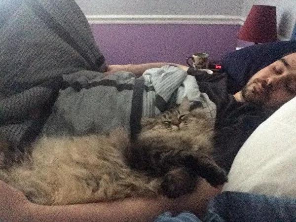 猫咪冷落女主人三年 直到有一天它行动反常 主动撒娇 没想到竟带来“天大惊喜”!