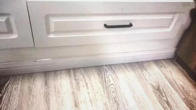 猫咪丢失好多天 久寻不见 打开柜子吓一跳!