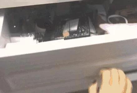 猫咪丢失好多天 久寻不见 打开柜子吓一跳!