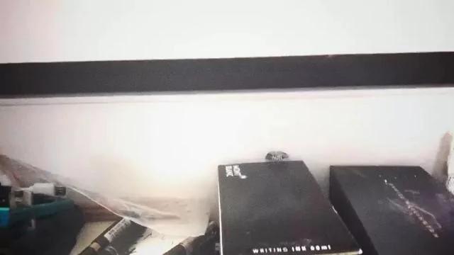 猫咪丢失好多天 久寻不见 打开柜子吓一跳!