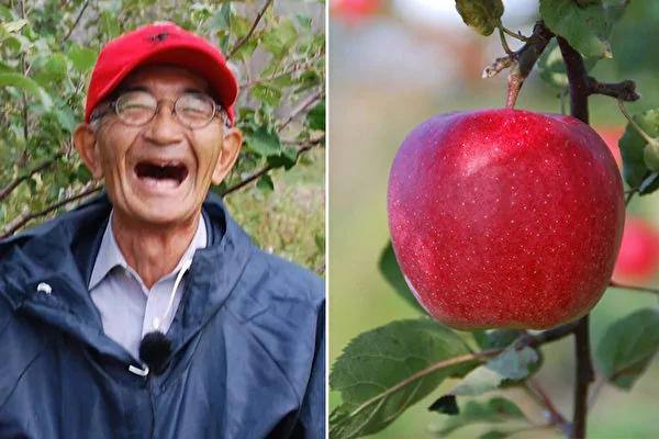 日本老人种出不腐苹果引出健康的秘诀