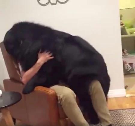 屋外放烟火 72公斤爱犬怕得立即“扑上主人”身上讨抱抱!网友笑翻:“甜蜜的负担!”