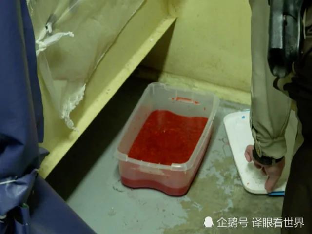 美国犯人日常的生活太精致 典狱长夸他们个个都是“人才”!