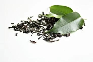 饮茶能瘦身 营养师教你5秘诀帮助燃脂