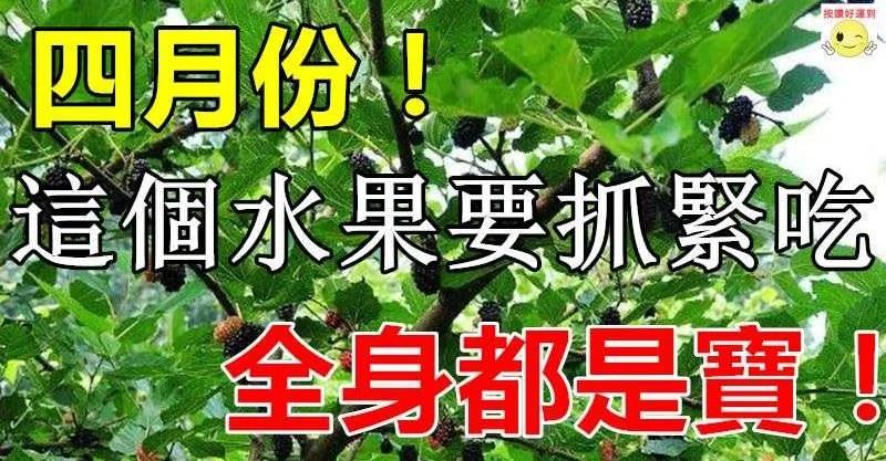 4月 这个水果要抓紧吃 全身都是宝
