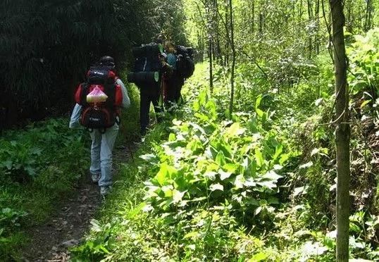 汗毛竖起 全球十大恐怖奇异的旅游禁区
