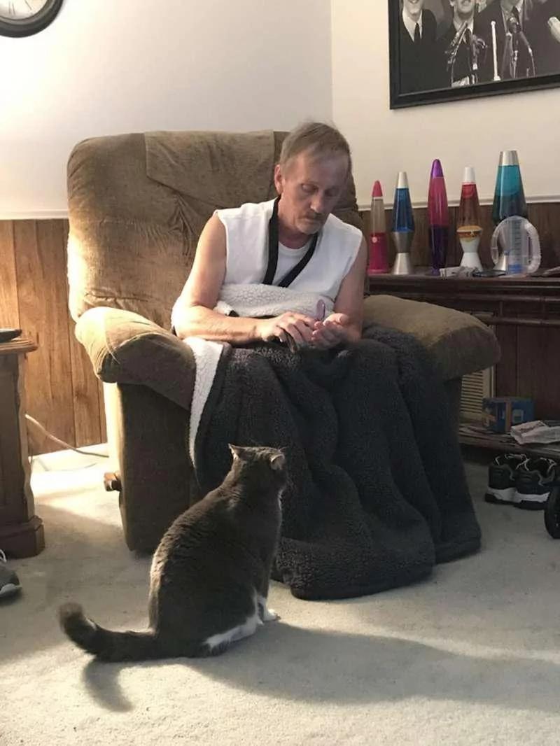 不理人的猫咪发现男主人休克 马上叫醒全家 从此它也变了!