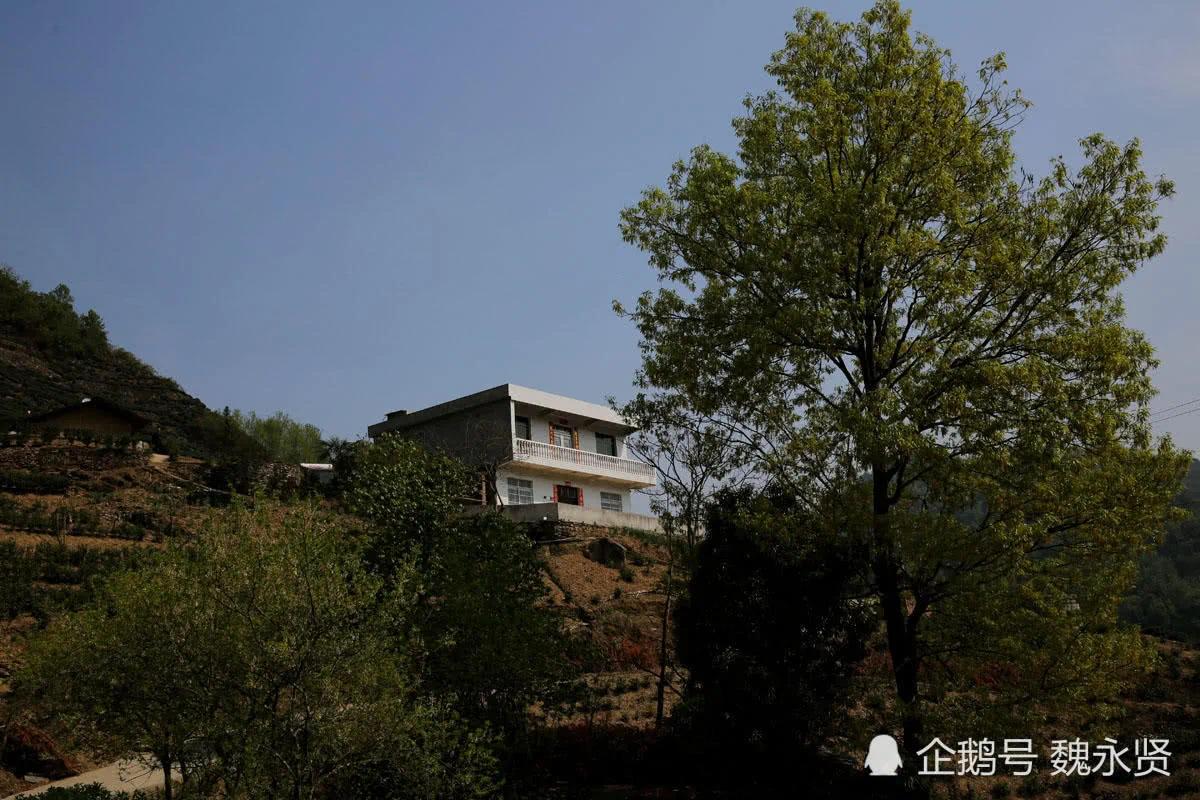 独手弟弟娶亲嫂子为妻 精心务茶园 日子越过越好!