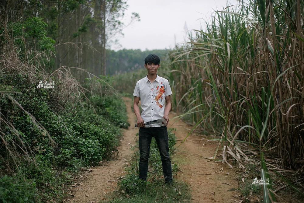 来中国砍甘蔗的越南人!