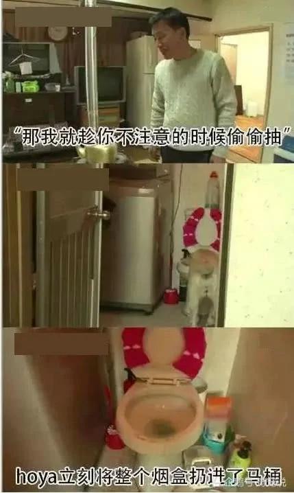 女主人离开后狗狗取代了她的位置 做的事情让男主人红了脸