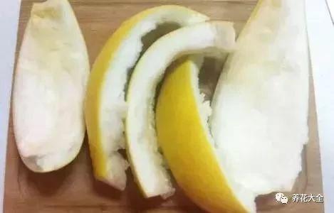 洗碗“不加洗洁精”一样干净不油腻!5招让“水费少一半”的洗碗小妙招