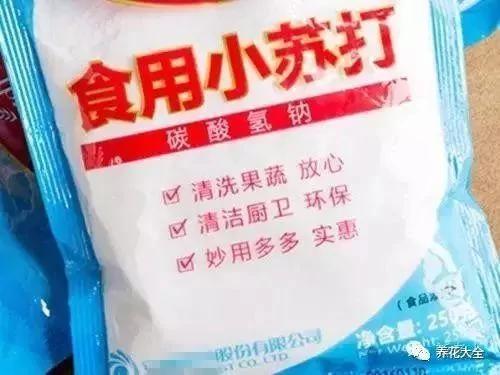 洗碗“不加洗洁精”一样干净不油腻!5招让“水费少一半”的洗碗小妙招