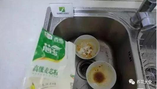 洗碗“不加洗洁精”一样干净不油腻!5招让“水费少一半”的洗碗小妙招