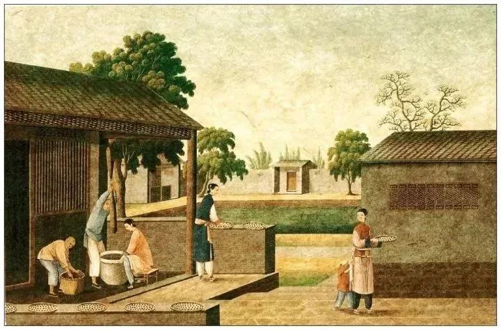 为什么说“一人不进庙 二人不看井 三人不抱树”