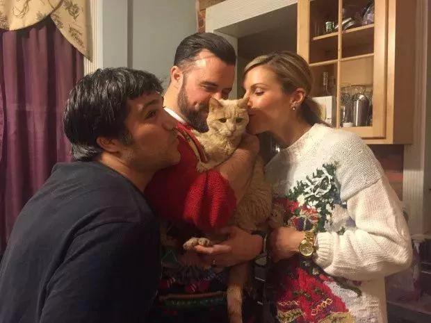 这只橘猫陪伴主人22年被遗弃 喵生的最后却享受了美好时光!