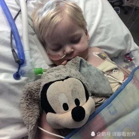2岁男孩得绝症 家人忍痛撤掉呼吸机后奇迹发生