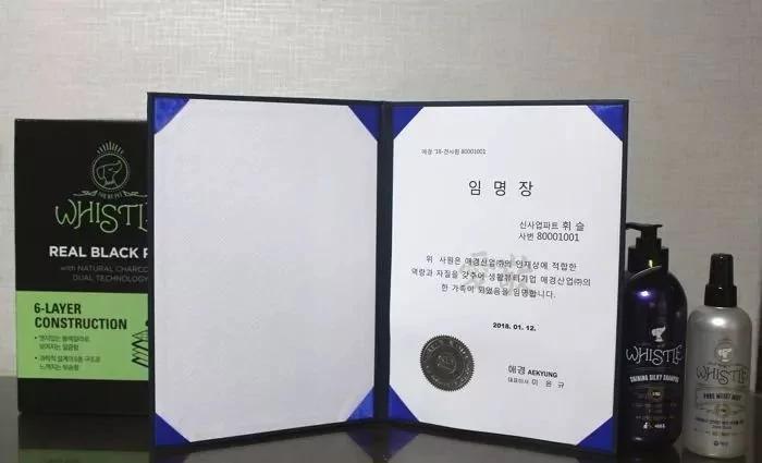 5个月小狗成为公司正式员工 怎么混进去的?