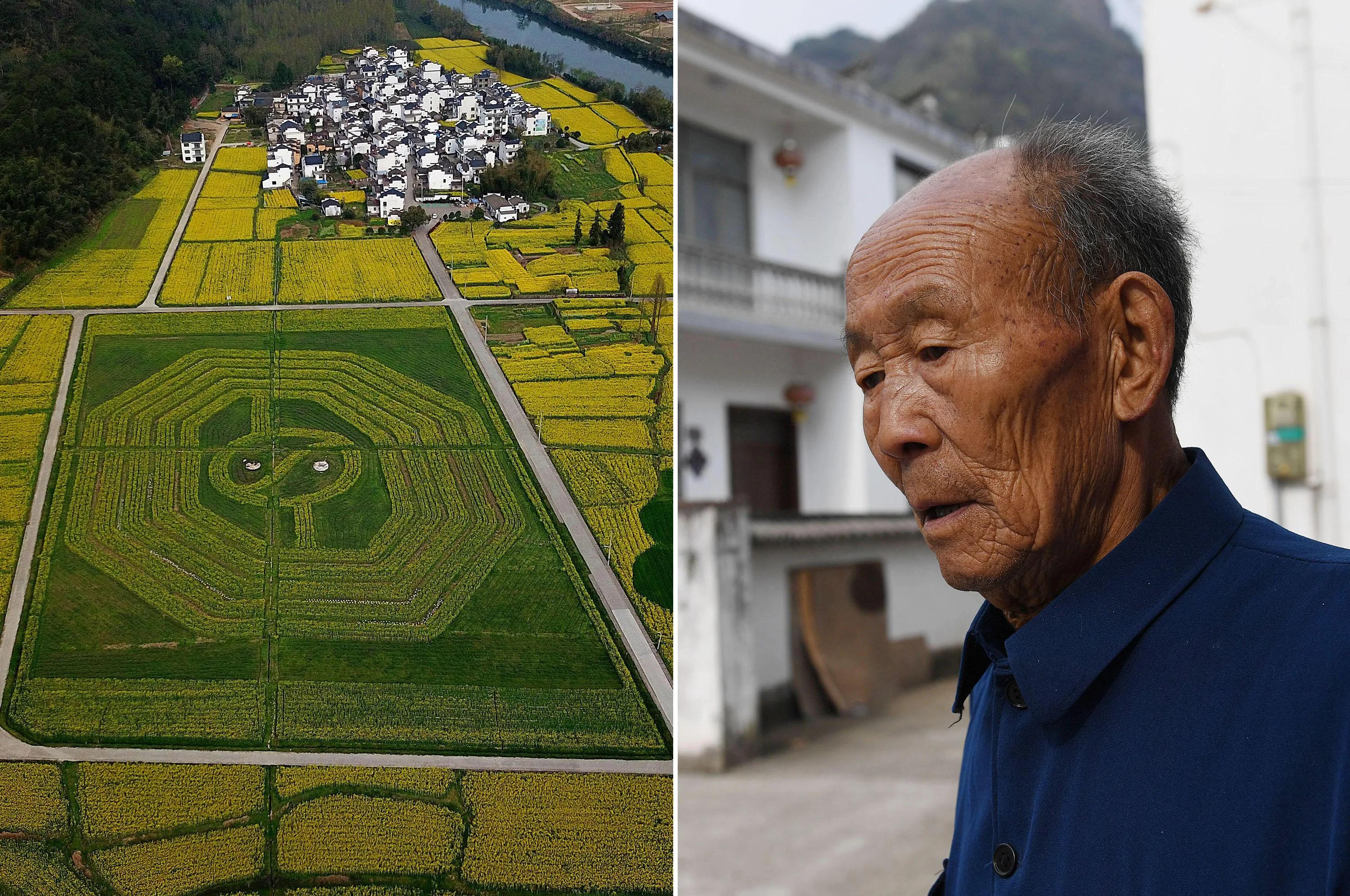 500年古村满是八卦图形 村口现360亩八卦油菜花海!