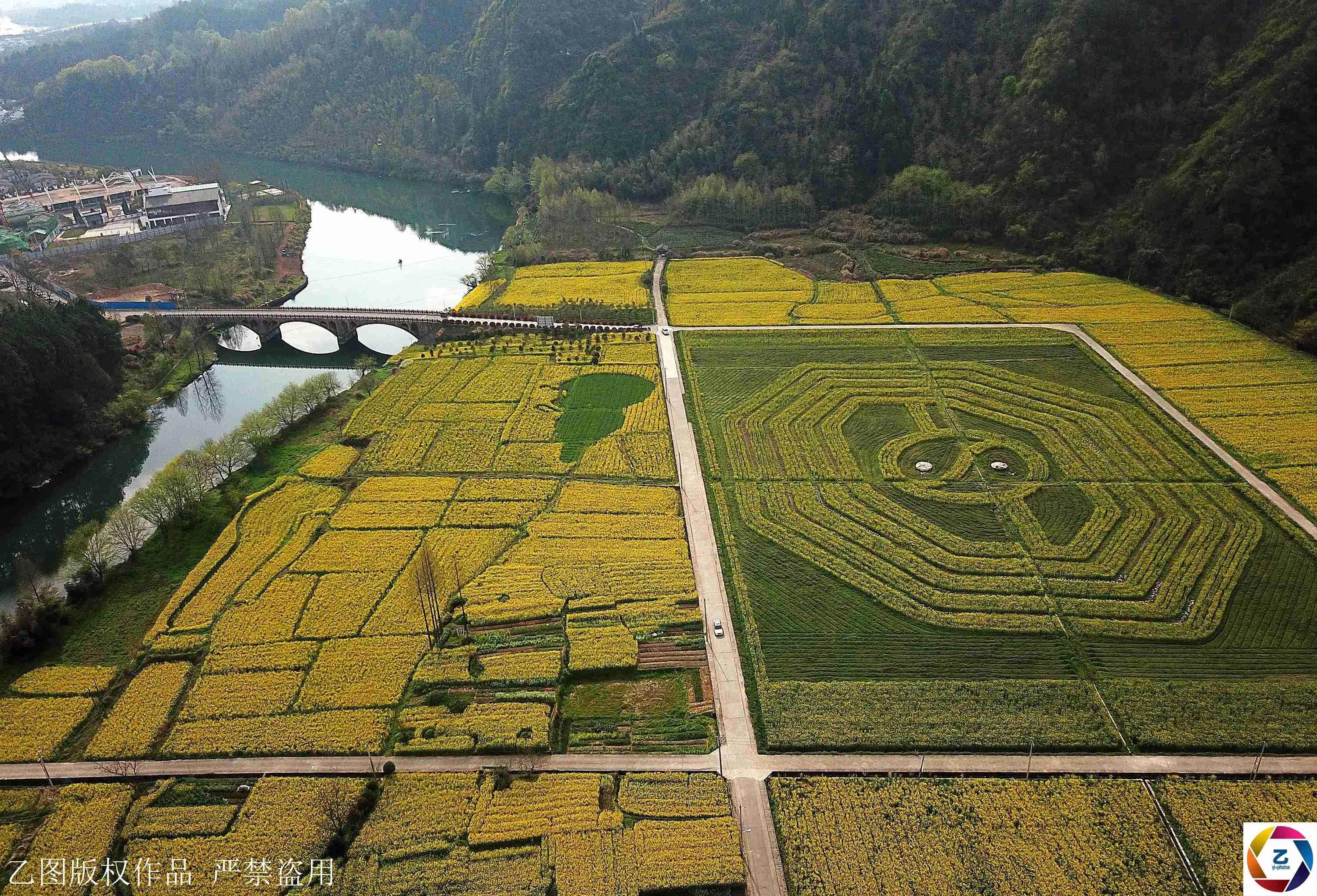 500年古村满是八卦图形 村口现360亩八卦油菜花海!