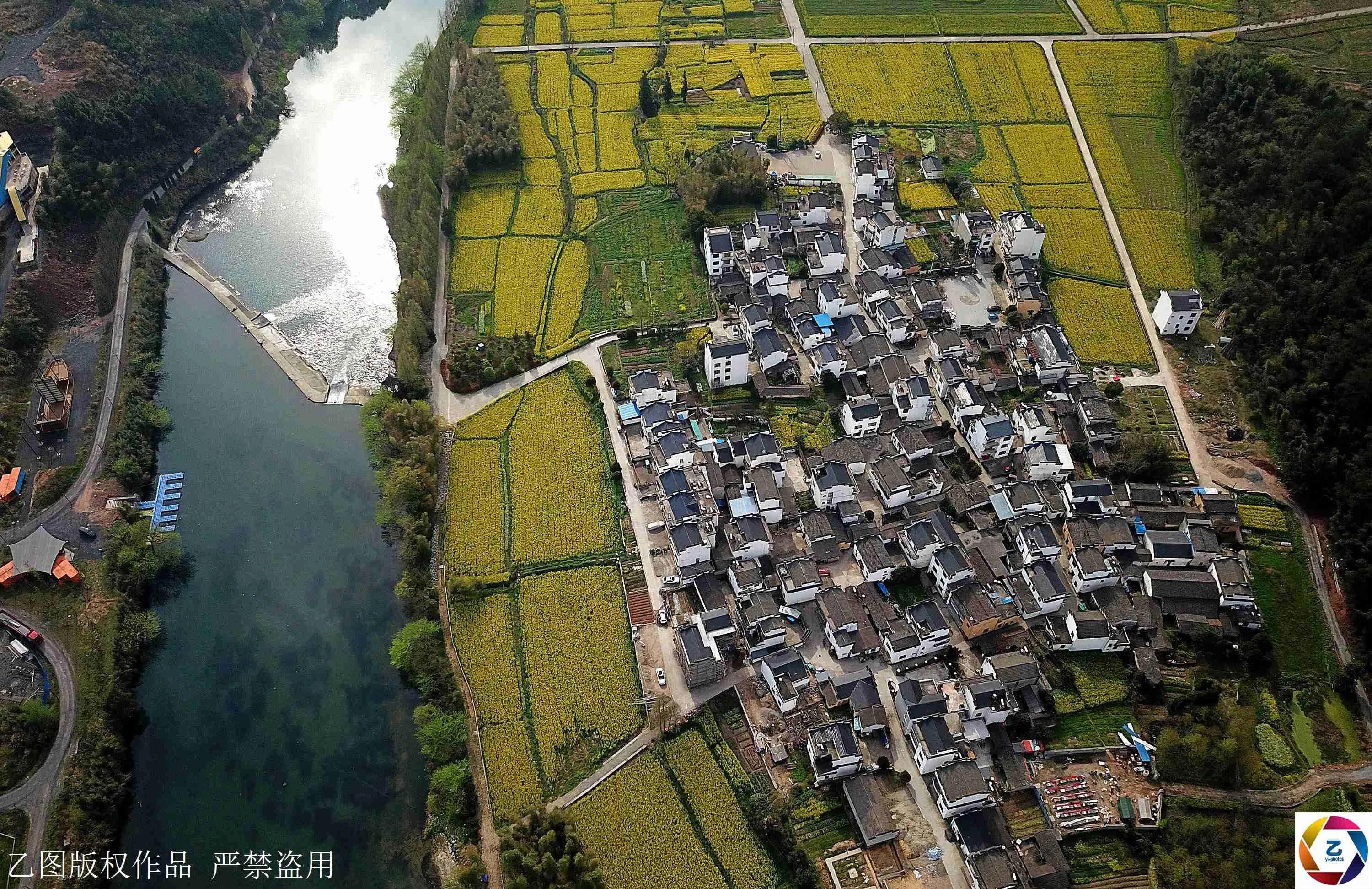 500年古村满是八卦图形 村口现360亩八卦油菜花海!