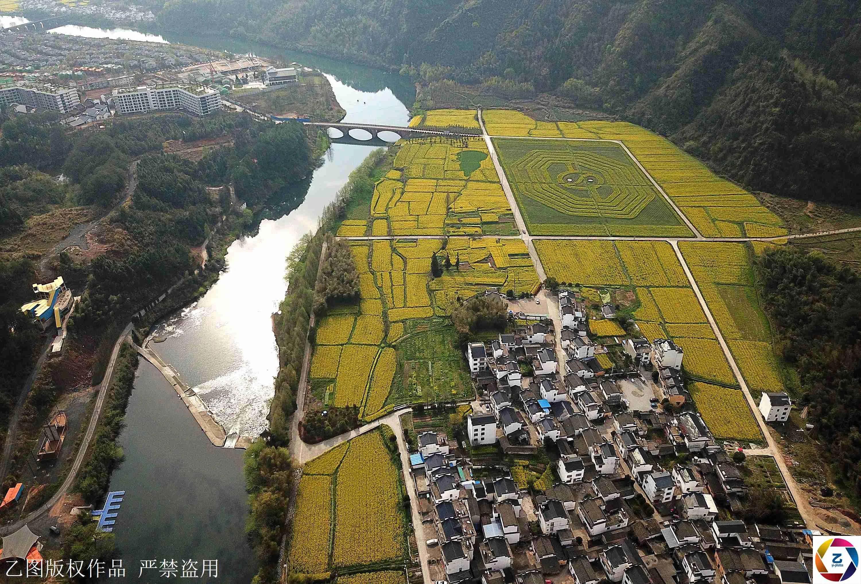 500年古村满是八卦图形 村口现360亩八卦油菜花海!