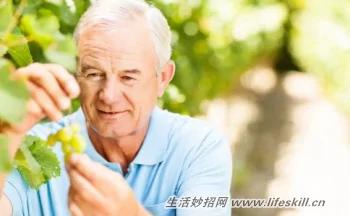 预防老年痴呆的5个好习惯 一定要学起来