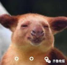 奇葩!一对夫妻要离婚 法庭上相见竟互相不认识!