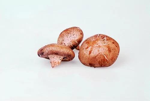 自制健康养胃粥!中医2碗抗癌、防心血管疾病