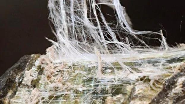 热帖:贫穷 才是最可怕的致癌物 扎心了!