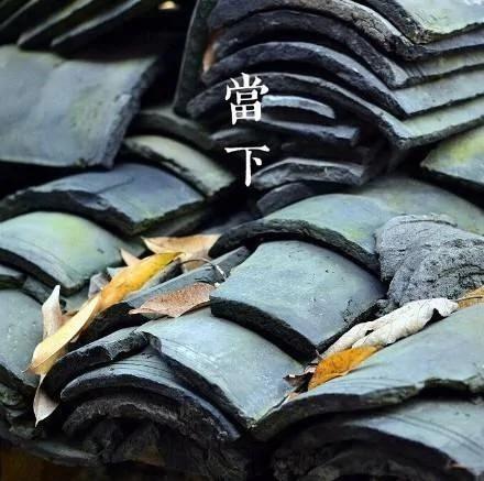 前世来生 因果轮回!